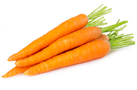 carrot